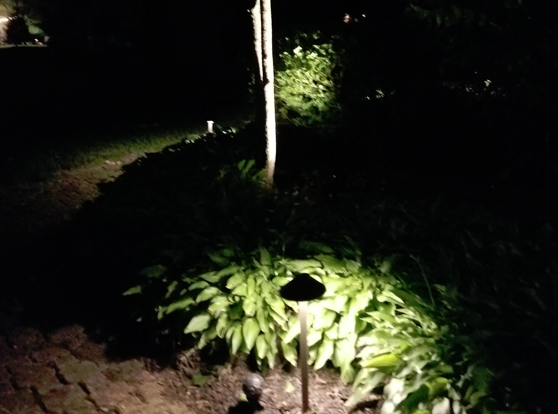 Outdoor Landscape Lighting (Indianapolis Washington Township)