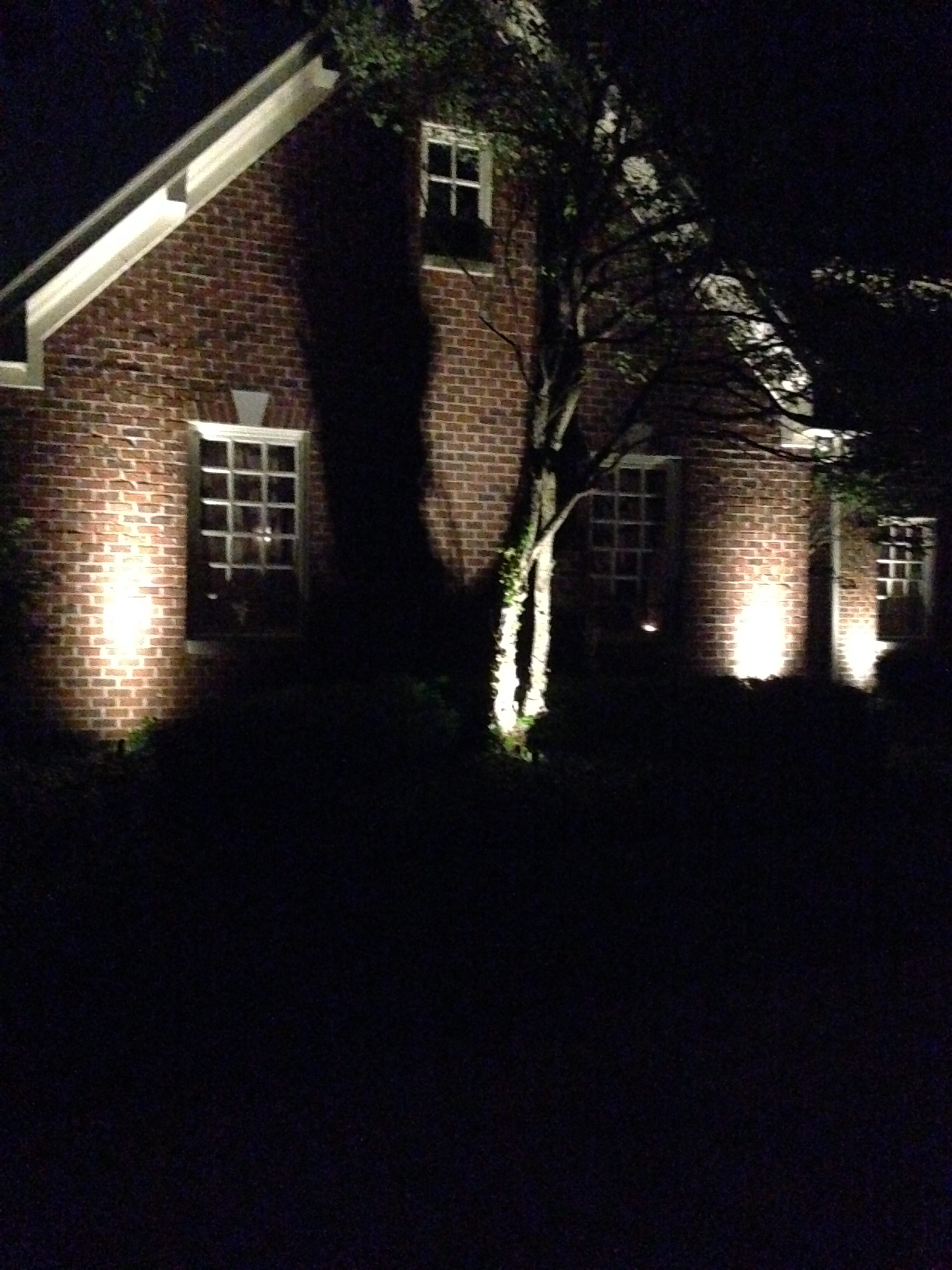 Carmel Landscape Lighting Installation