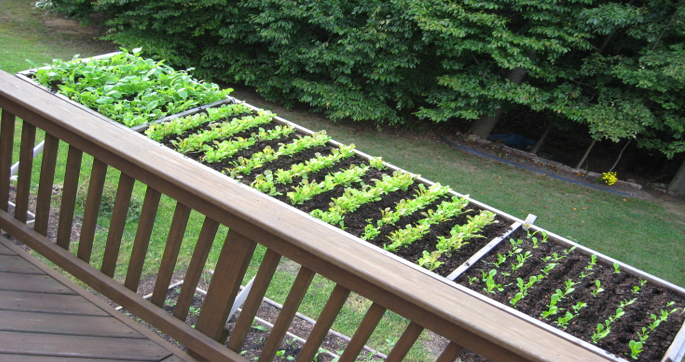 Vegetable Garden Irrigation (Indianapolis)