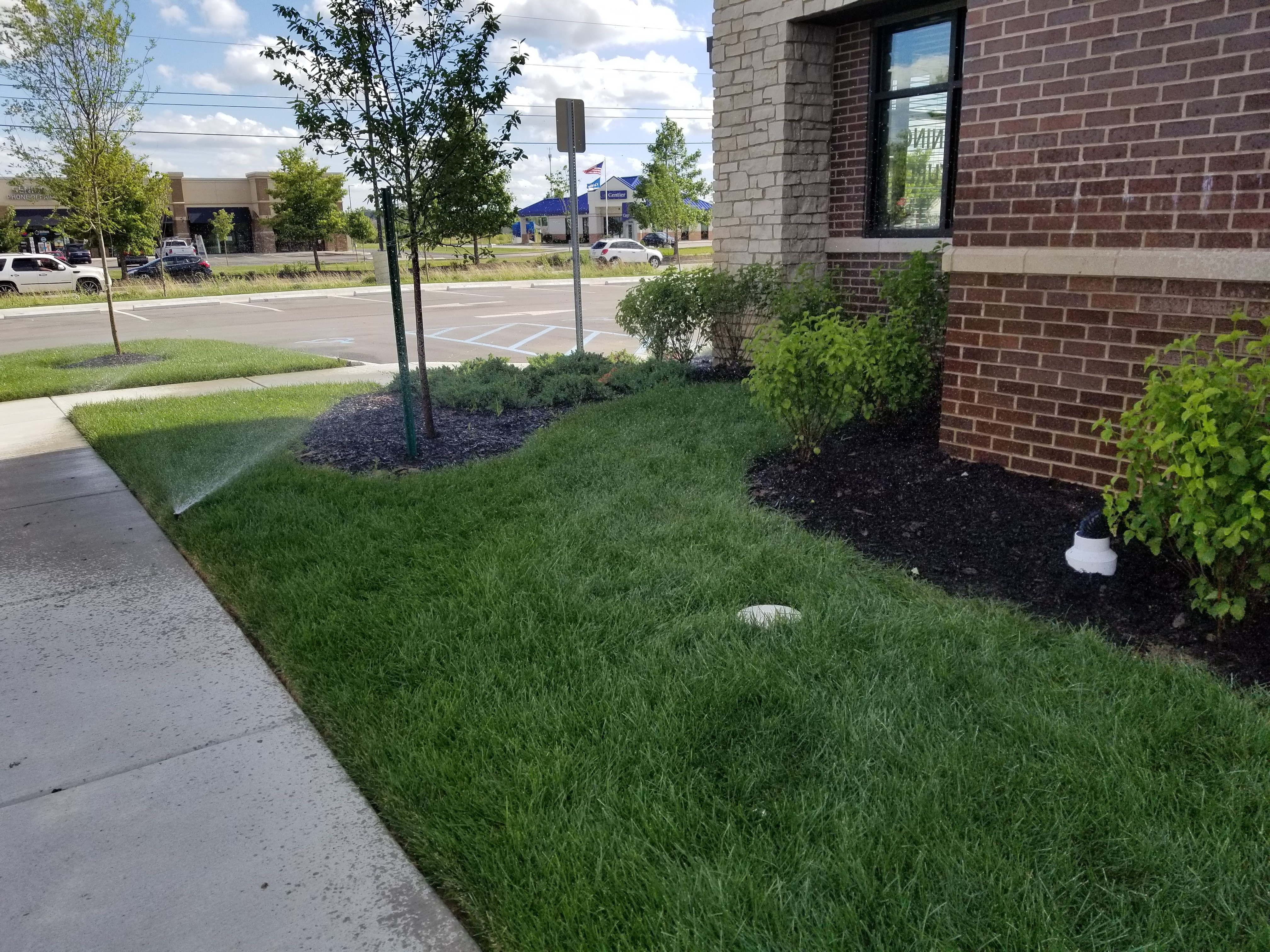 Lafayette Commercial Landscaping Project