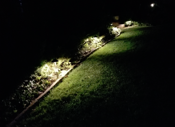 Landscape Security Lighting (Indianapolis Washington Township)