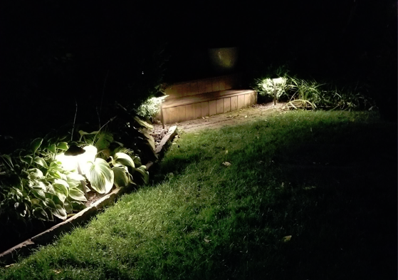 Outdoor Landscape Yard Lighting (Indianapolis Washington Township)