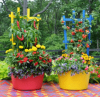 Flower and Vegetable Garden Pots