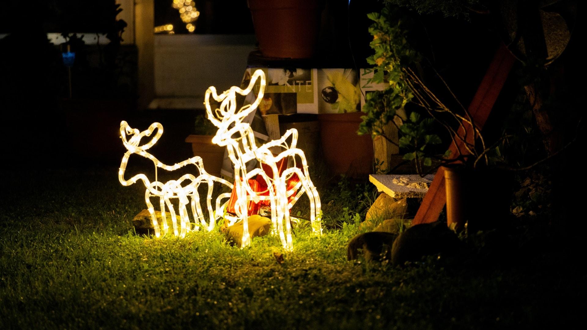 frederick-adegoke-snr--Lmgbt7h28Y-unsplash