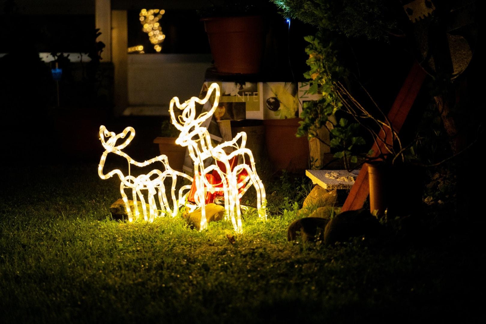 frederick-adegoke-snr--Lmgbt7h28Y-unsplash