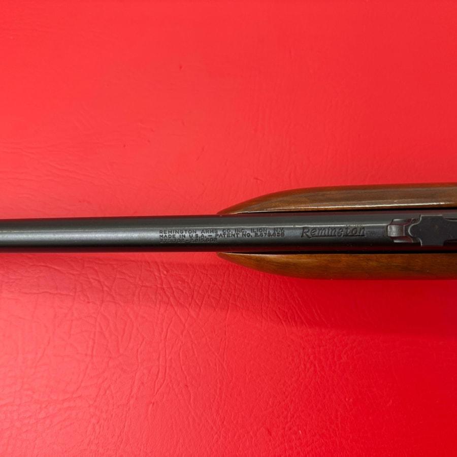 IMG_0486