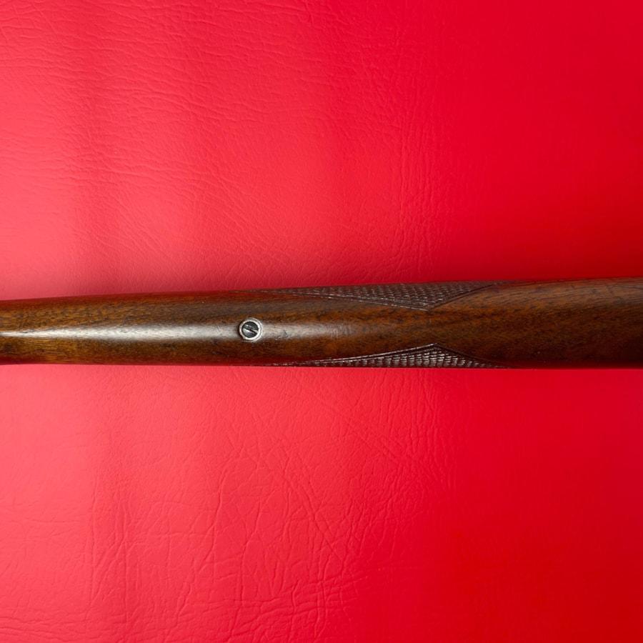 IMG_2250