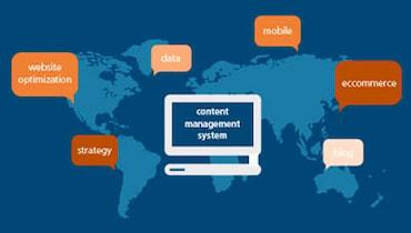 Content Management System