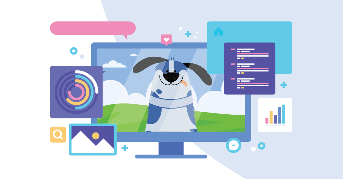 Designing an affordable website for a pet store