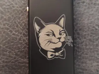 Sassy Cat Lighter image