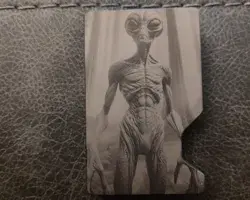 Alien Wallet image