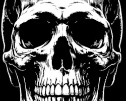 Skull image