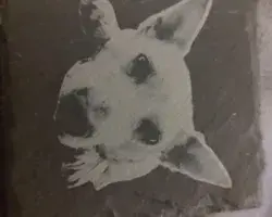 IMG_20250806_223904241 Sample product photo