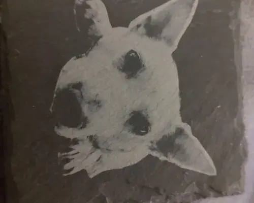 IMG_20250806_223904241 Sample product photo