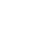 ToyodaGosei