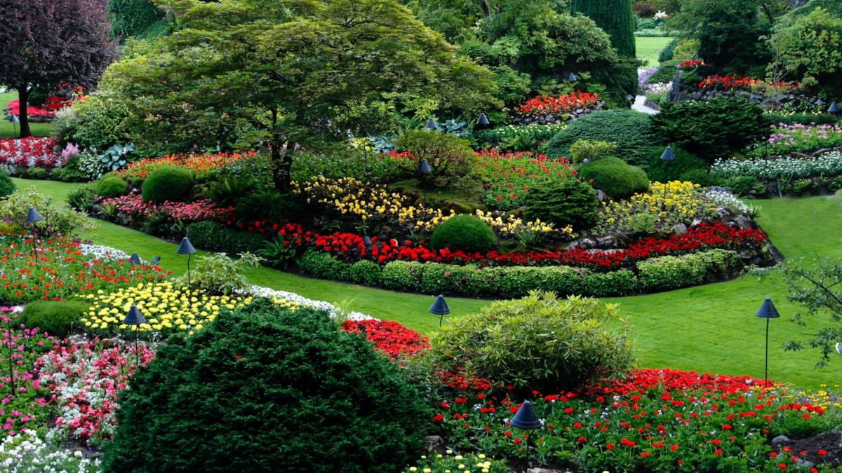 jan-canty-KcQuXaHCSPE-unsplash