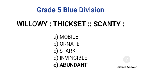 Grade 5 Blue Division Sample Analogies