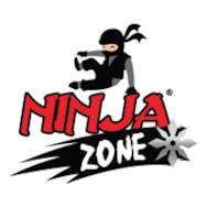 Ninja Zone.jpg