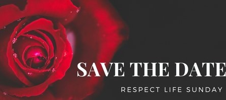 Respect Life
