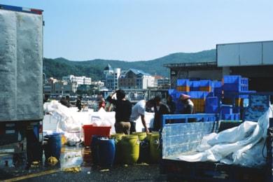 muki-pan-gigyvnERTF8-unsplash