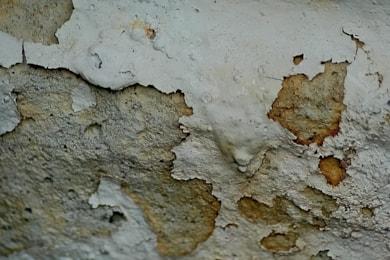 chuck-underwood-WcDGvJPnjQ4-unsplash