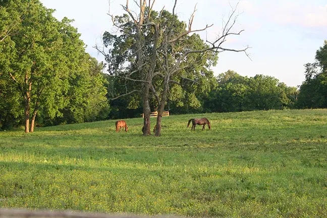 IMG_2308