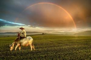 landscape-4219313_1920