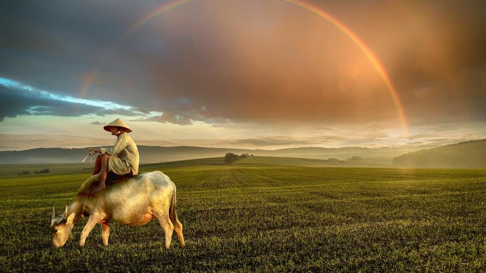 landscape-4219313_1920 landscape-4219313_1920