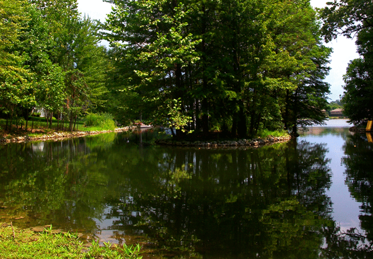 Lake View | Eastlake Woods Apartments | Columbus, Indiana