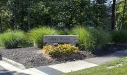 Eastlake Use IMG_0325