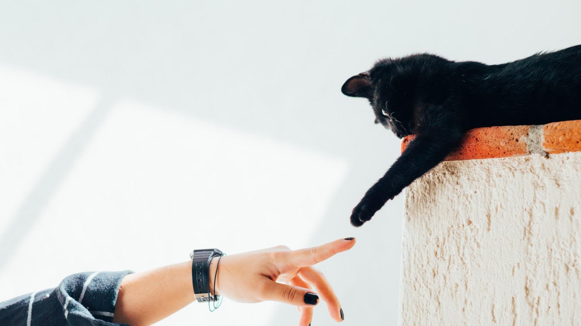 humberto-arellano-N_G2Sqdy9QY-unsplash